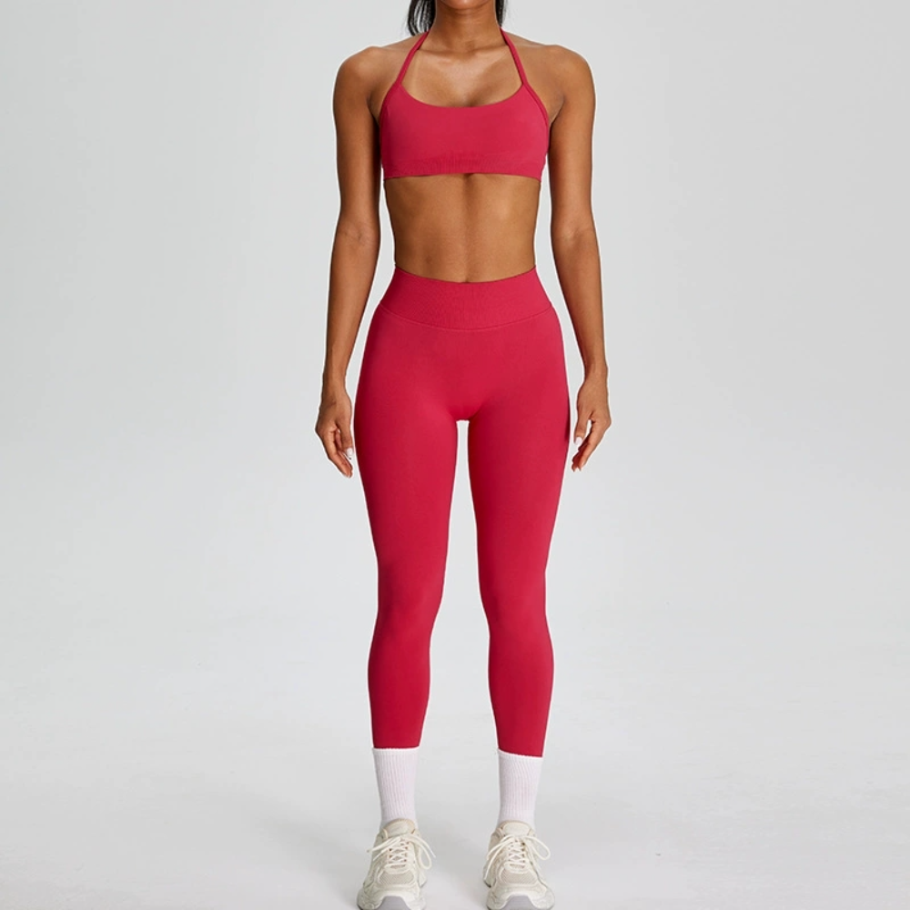 Seamless Sports Suits Women's  - Yoga Fitness Zumba avaliação e preço