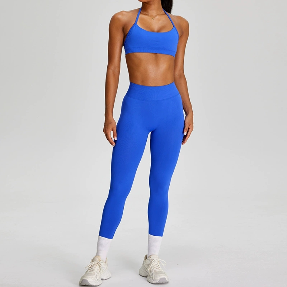 Seamless Sports Suits Women's  - Yoga Fitness Zumba avaliação e preço