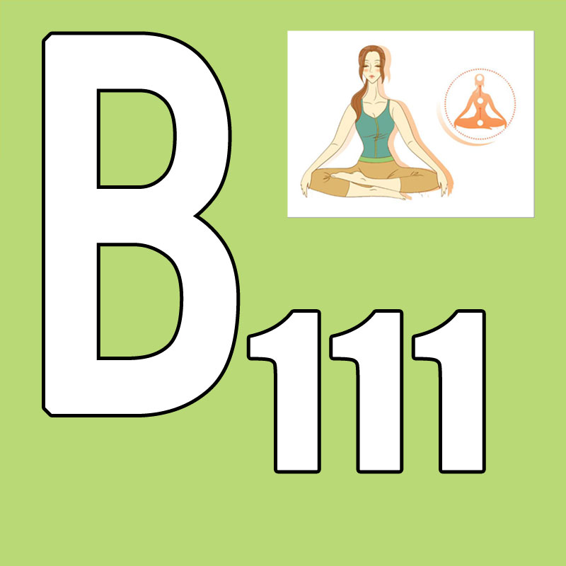 Hot Sale Latest Release 2026.Q - Yoga Fitness Course avaliação e preço